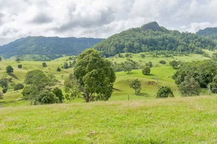 Seventh view of Homely rural property listing, 6903 Doon Doon Road, Doon Doon NSW 2484