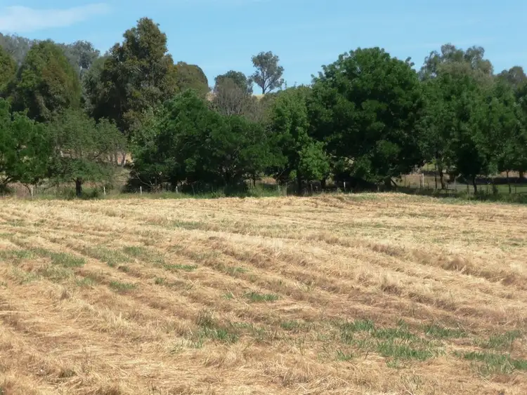 Seventh view of Homely land listing, 978 Table Top Road, Table Top NSW 2640