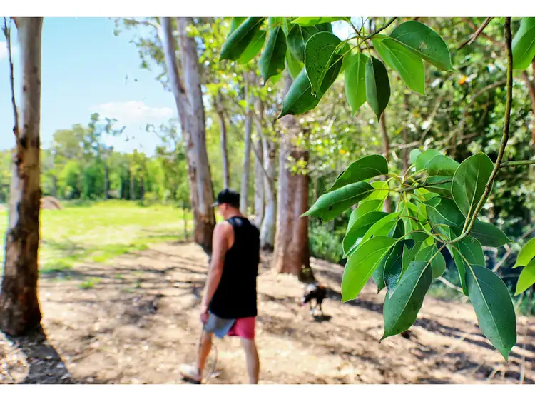 Main view of Homely land listing, LOT 57, 6 Pinnacles Drive, Glass House Mountains QLD 4518