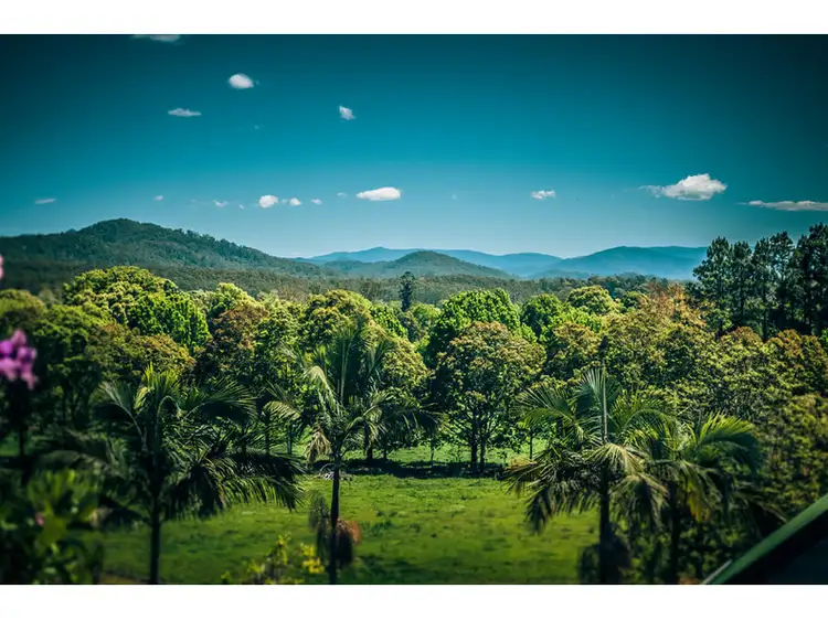 24 Hobson Close, Bellingen NSW 2454