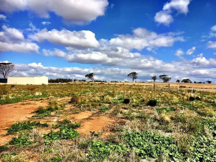 Third view of Homely land listing, 10 Hennessy Place, Goomalling WA 6460