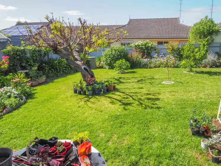 Third view of Homely unit listing, 11 McFarlane Avenue, Port Lincoln SA 5606