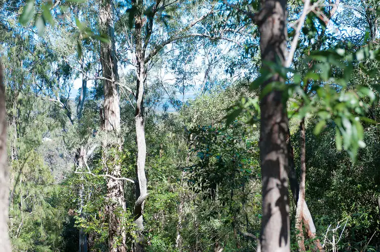 Sixth view of Homely land listing, 880 Grandview Road, Upper Brookfield QLD 4069