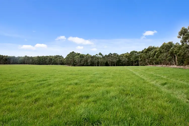Second view of Homely rural property listing, 180 Harris Road, Elliminyt VIC 3250