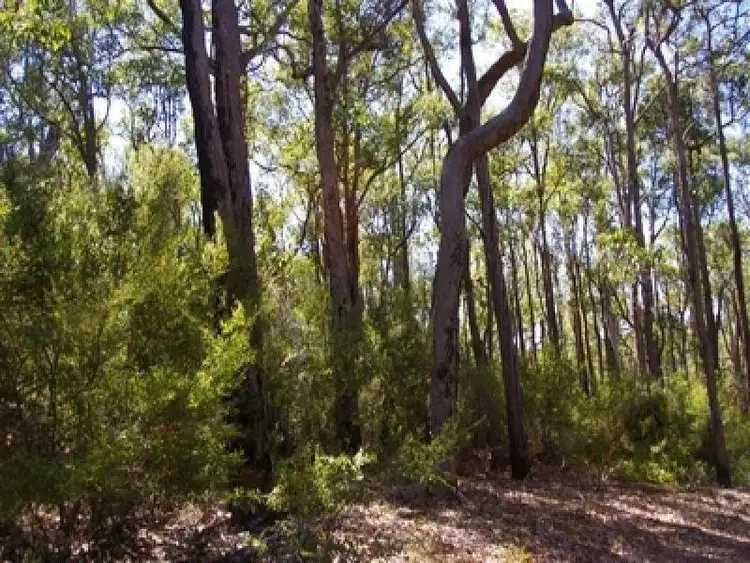 Fourth view of Homely rural property listing, LOT 702, 702 Gold Gully Road, Nannup WA 6275