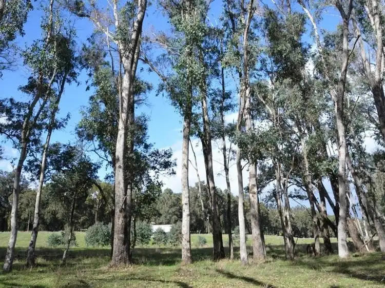 Fifth view of Homely rural property listing, 4 Balingup Road, Nannup WA 6275