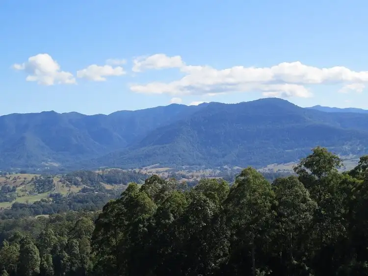 Sixth view of Homely rural property listing, 250 Tyalgum Ridge Road, Tyalgum NSW 2484