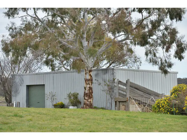 Fifth view of Homely rural property listing, 'Spring Farm' 37 Curtin Road, Orange NSW 2800