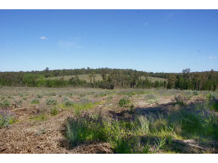 Seventh view of Homely rural property listing, Via Walker Road, Noggerup WA 6225