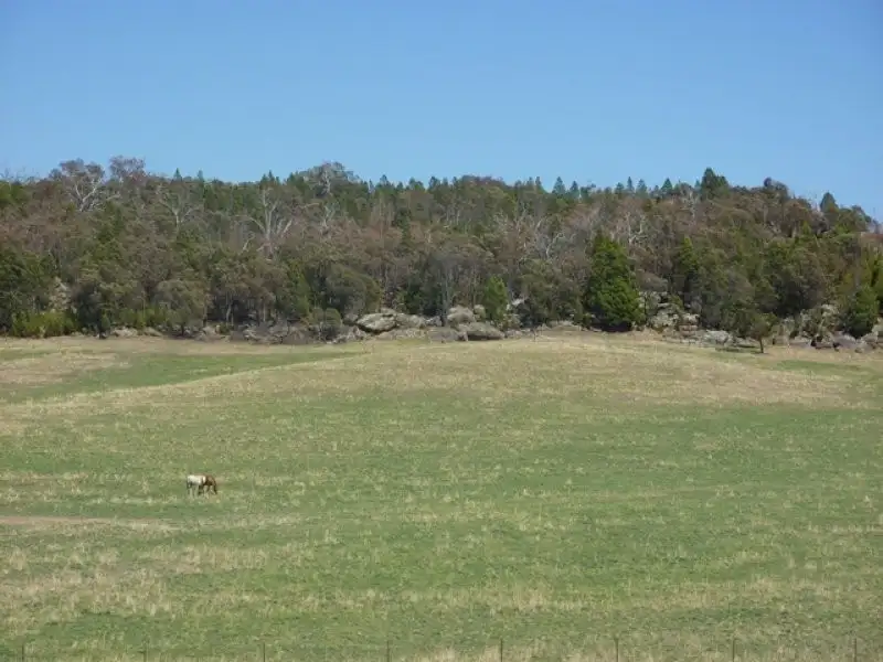 Main view of Homely land listing, Lot 651 Peabody Road, Molong NSW 2866