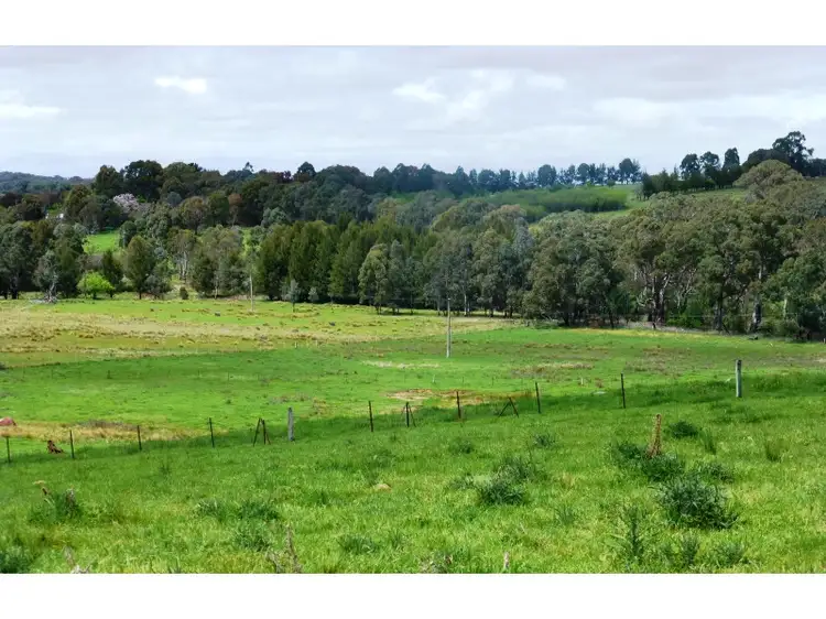 Fourth view of Homely rural property listing, 277 Fanning Road, Mullion Creek NSW 2800