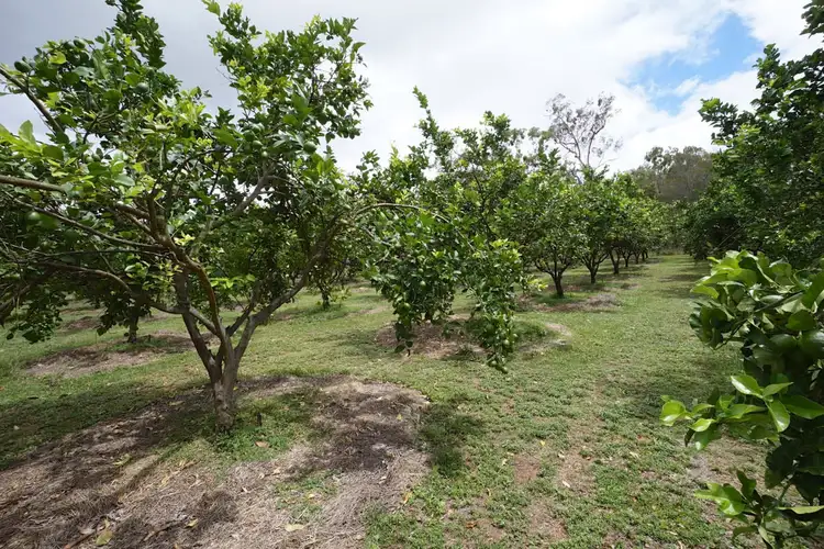 Sixth view of Homely rural property listing, 3762 Kennedy Highway, Mareeba QLD 4880