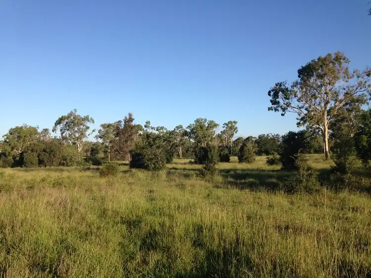 Fourth view of Homely rural property listing, 891 Stanwell Waroula Road, Stanwell QLD 4702