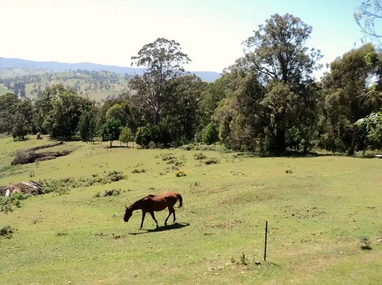 Second view of Homely house listing, 541 Hawks Head Road, Brogo NSW 2550