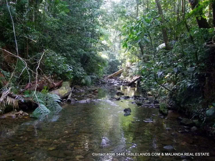Second view of Homely rural property listing, LS1465 RN1739 Old Palmerston Highway, Millaa Millaa QLD 4886