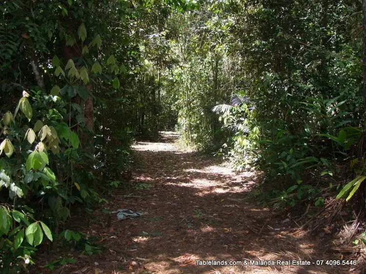 Second view of Homely rural property listing, LS556/1470 Old Palmerston Highway, Millaa Millaa QLD 4886