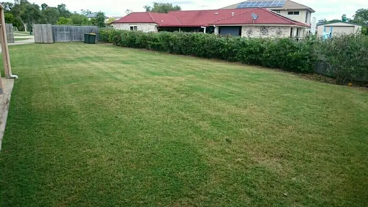 Third view of Homely house listing, 36 Gibraltar Circuit, Parkinson QLD 4115