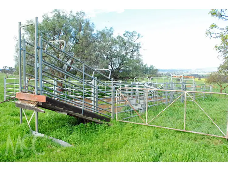 Fourth view of Homely rural property listing, 'Prospect' 165 Scenic Drive, Cudal NSW 2864