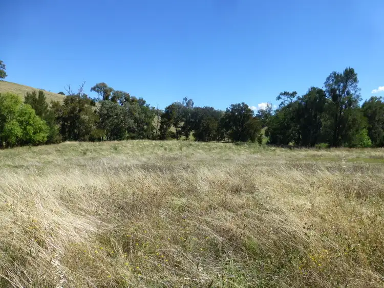 Second view of Homely rural property listing, - Bowan Park Road, Orange NSW 2800