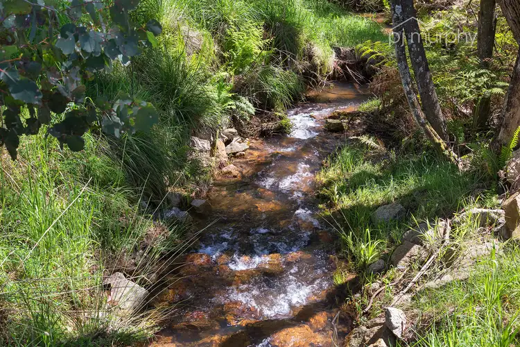 Seventh view of Homely land listing, 250 Schmidt Lane, Yackandandah VIC 3749
