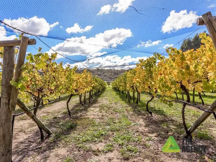 Sixth view of Homely house listing, 16 Patens Drive, Lower Chittering WA 6084