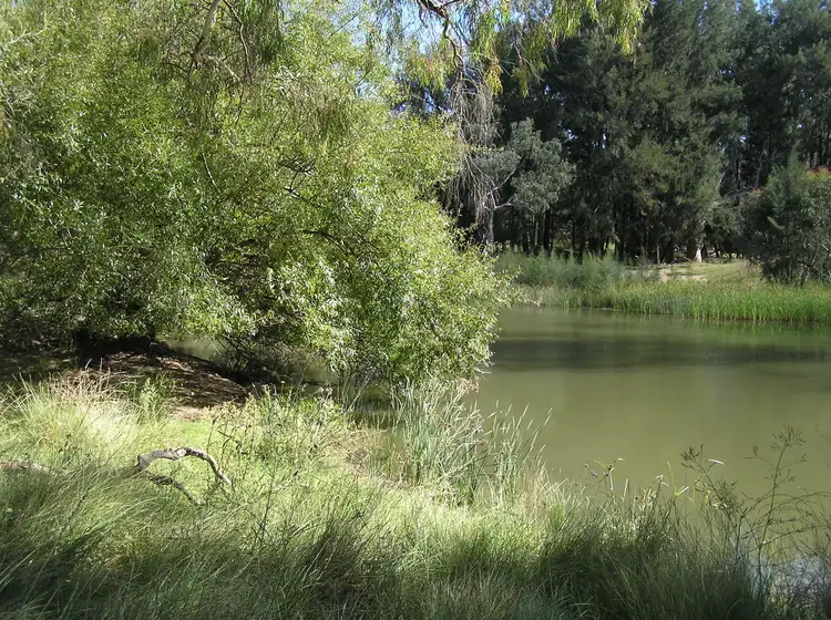 1886 Goolma Road, Mudgee NSW 2850