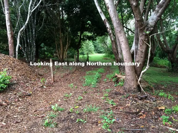Fourth view of Homely land listing, LOT 31/1A Esme Street Cnr Long Road, Tamborine Mountain QLD 4272
