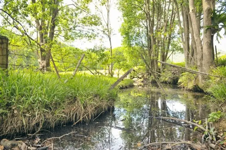 Fourth view of Homely rural property listing, 2 Ringtail Road, Stokers Siding NSW 2484