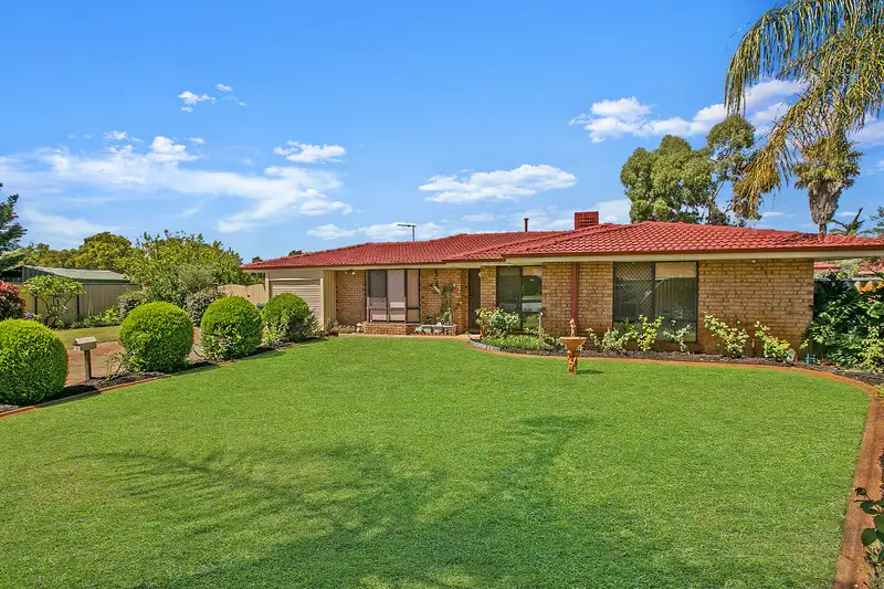 Main view of Homely house listing, 10 Wattle Court, Bibra Lake WA 6163