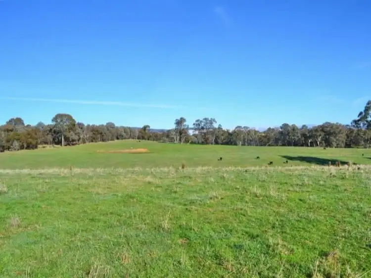 Fourth view of Homely rural property listing, 687 Monkey Gully Road, Mansfield VIC 3722