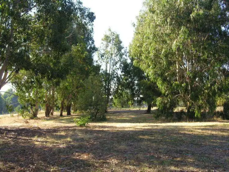 Seventh view of Homely rural property listing, 83 Gears Hill Road, Tolmie VIC 3723
