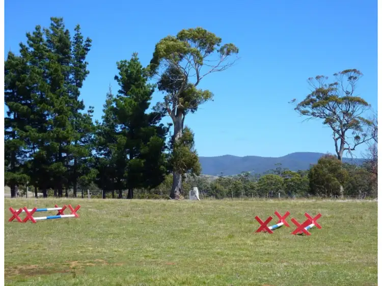 Sixth view of Homely house listing, 10048 Tasman Highway, Little Swanport TAS 7190
