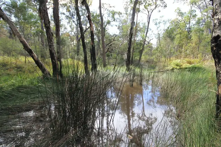 Second view of Homely rural property listing, 426 Florda Red Drive, Lanitza NSW 2460