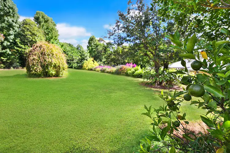 80 Akala Street, Flaxton QLD 4560