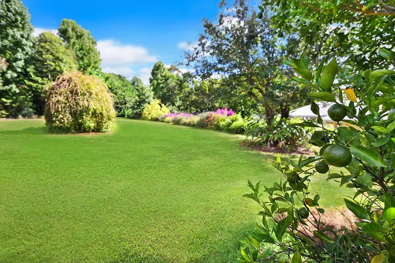 Main view of Homely house listing, 80 Akala Street, Flaxton QLD 4560