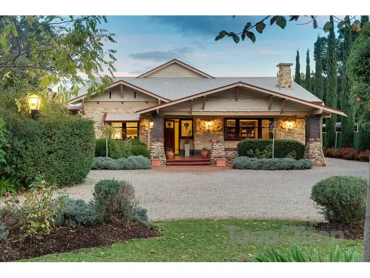 41 Angas Road, Hawthorn SA 5062
