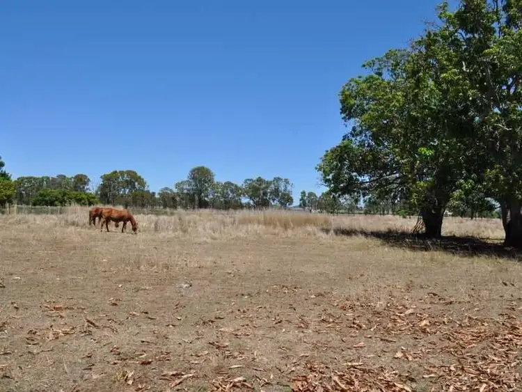 Sixth view of Homely rural property listing, 8 Mines Road, Mareeba QLD 4880