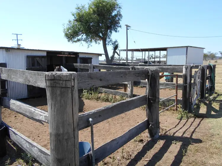Fourth view of Homely rural property listing, 2765 Leyburn Cunningham Road, Pratten QLD 4370