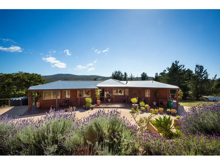 Second view of Homely house listing, 17 Buckett Lane, Millingandi NSW 2549