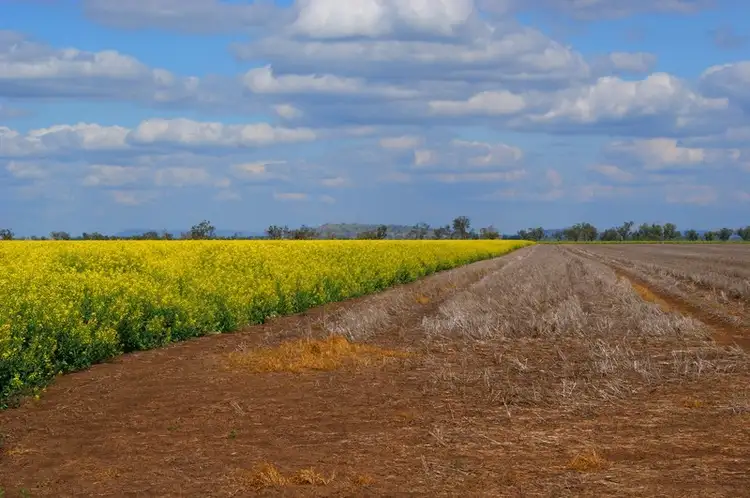 Seventh view of Homely rural property listing, 12323 Oxley Highway, Mullaley NSW 2379