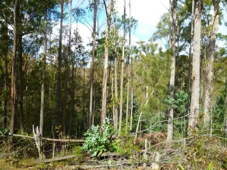 Main view of Homely land listing, LOT P123 Wielangta Road, Rheban TAS 7190