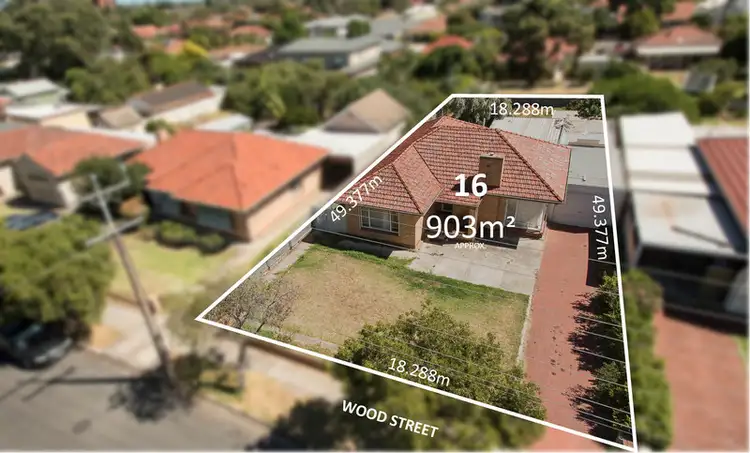 16 Wood Street, Kurralta Park SA 5037