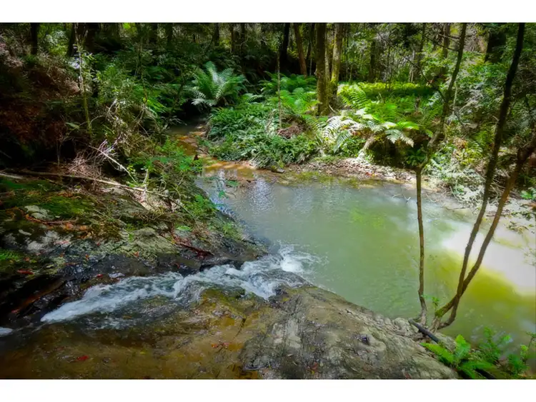 Fourth view of Homely rural property listing, 413 Johnsens Road, Dorrigo NSW 2453