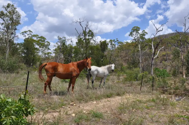 Seventh view of Homely land listing, LOT 14 Oaky Valley Avenue, Mareeba QLD 4880