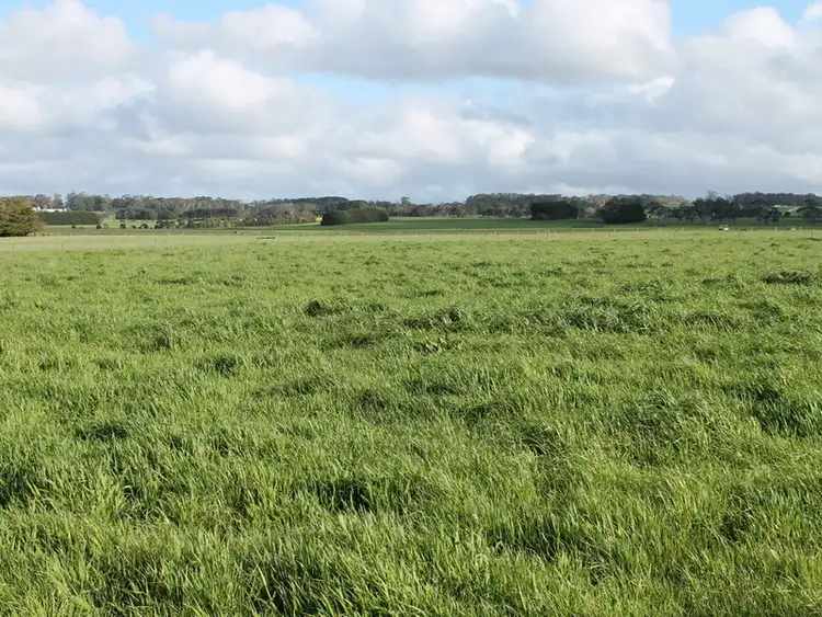 Second view of Homely rural property listing, 180 Irrewillipe-Pirron Yallock Road, Irrewillipe VIC 3249