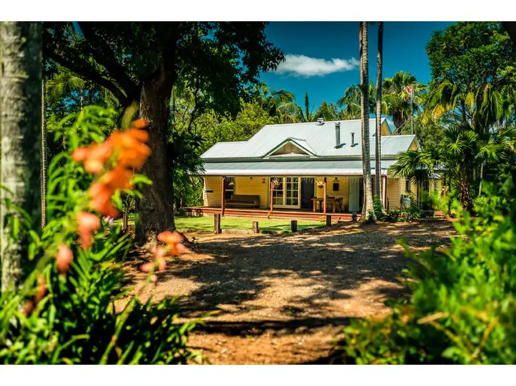 484 Summervilles Road, Bellingen NSW 2454
