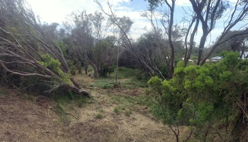 Main view of Homely land listing, 17 Mungala Crescent, Blairgowrie VIC 3942