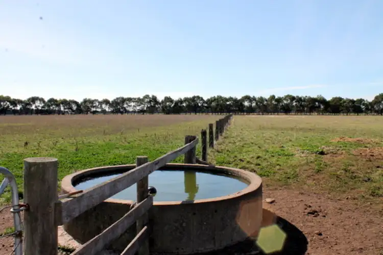 Third view of Homely rural property listing, 170 Tomahawk Creek Road, Irrewillipe VIC 3249