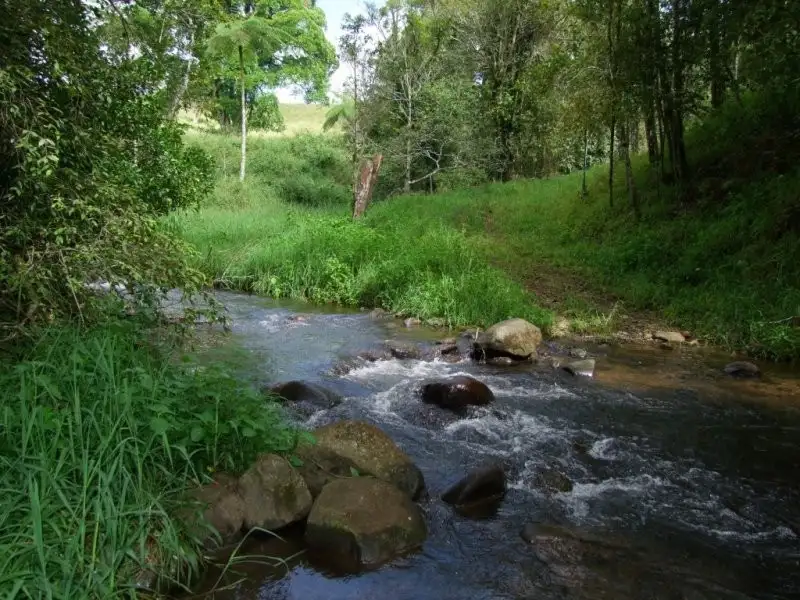 Main view of Homely rural property listing, F617 RN262 Pheasant Road, Millaa Millaa QLD 4886