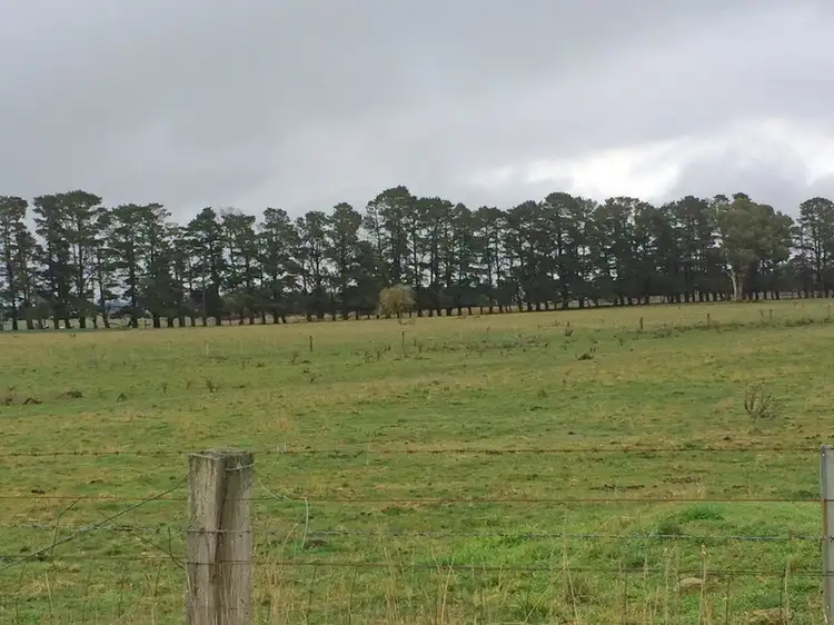 Second view of Homely rural property listing, 2/222 Spring Hill Road, Spring Hill NSW 2800